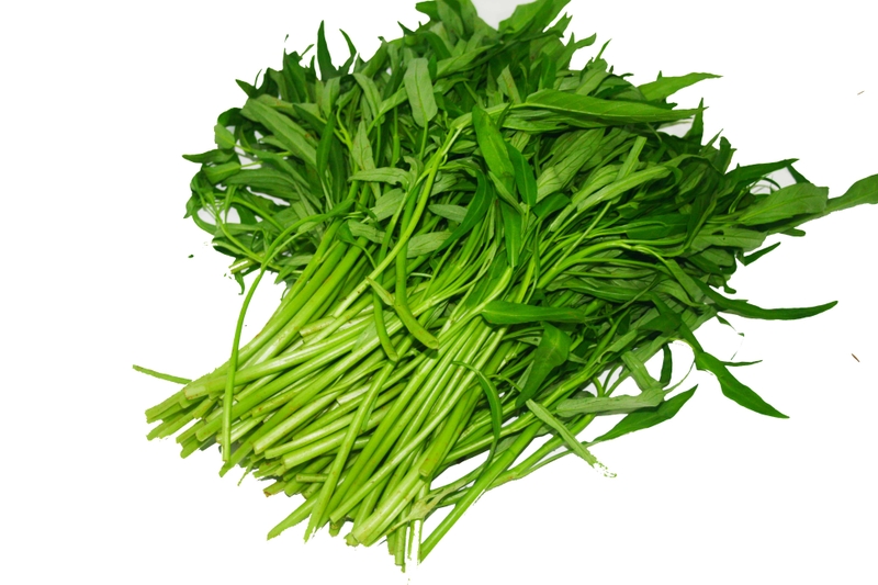 Giải đáp: Mổ trĩ xong nên ăn gì, kiêng ăn gì nhanh khỏi? 1