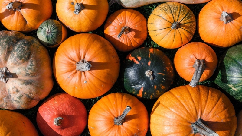 tiểu đường ăn bí đỏ được không