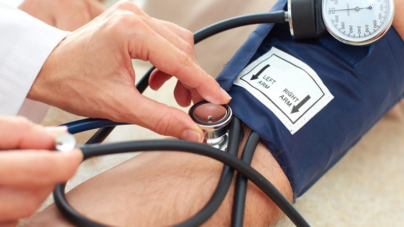 Giải đáp: Người bị huyết áp thấp có uống được lá tía tô không? 1