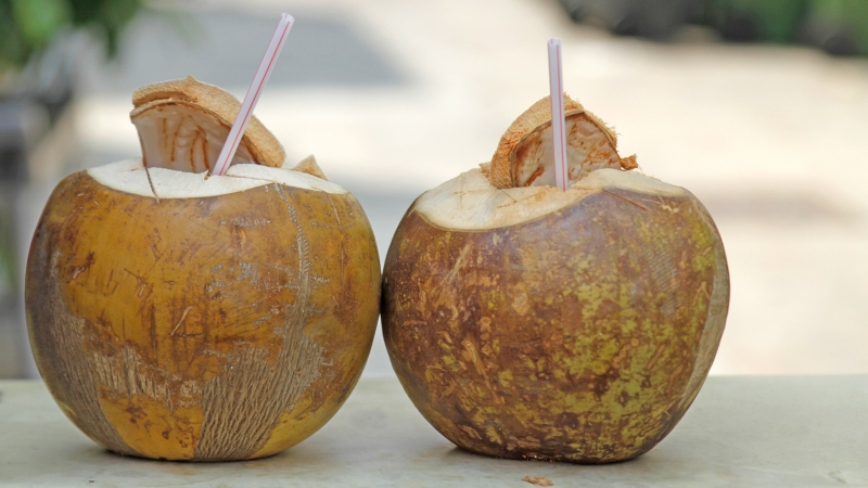 Giải đáp nước dừa để tủ lạnh được bao lâu 3