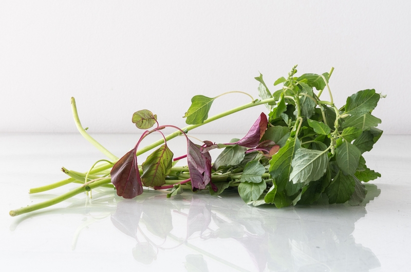 Giải đáp: Phô mai không nên ăn với gì?