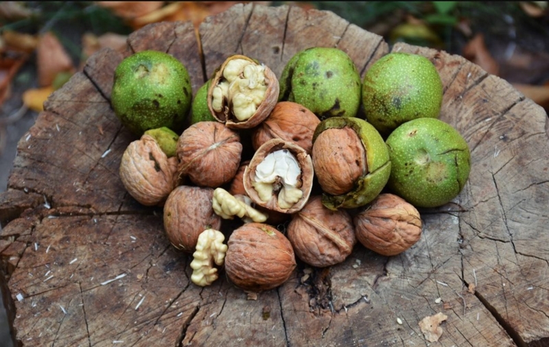 quả óc chó có ăn sống được không là thắc mắc của nhiều người