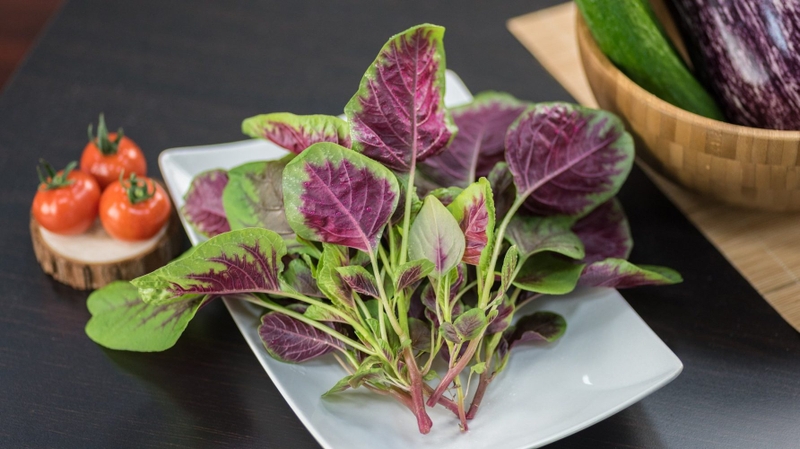 Giải đáp: Rau dền chữa u mỡ được không? 2