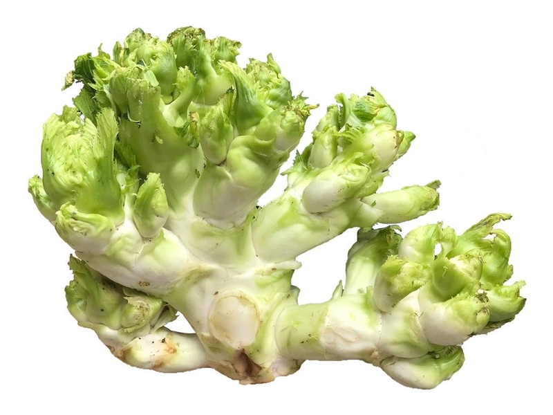 Giải đáp: Rau mầm đá có tác dụng gì? 4