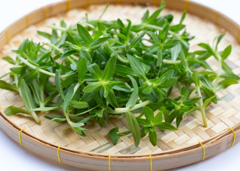 Rau om có những công dụng tuyệt vời gì? 2