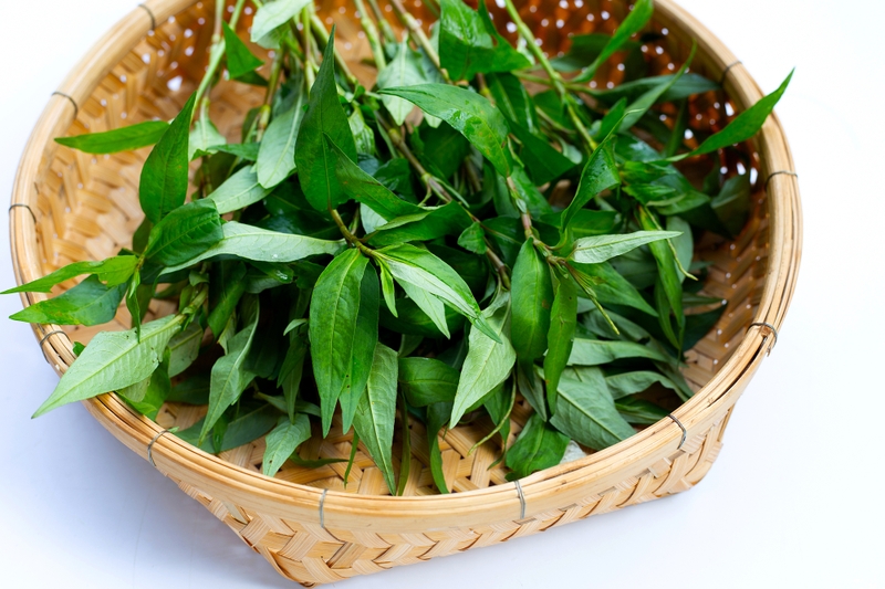 Giải đáp: Rau răm có tác dụng gì cho da mặt? 2