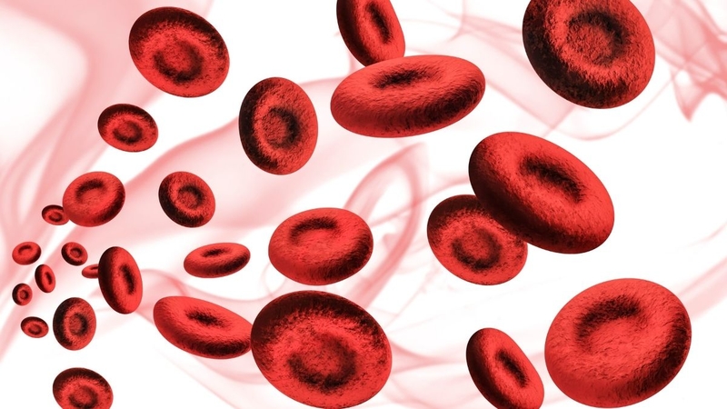 Giải đáp thắc mắc: Ăn cá trích sống có tốt không? 2