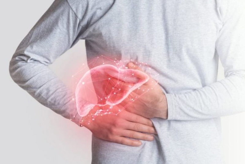 Gan là một cơ quan quan trọng trong cơ thể