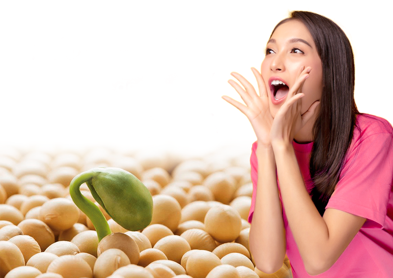 Giải đáp thắc mắc: Ăn hạt đậu nành có tác dụng gì?