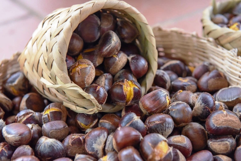 Giải đáp thắc mắc: Ăn hạt dẻ có nổi mụn không 3