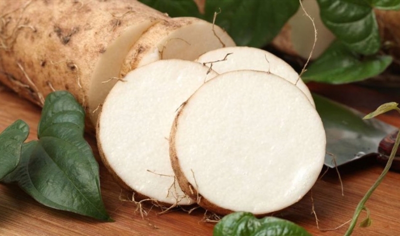 Giải đáp thắc mắc: Bà bầu ăn khoai từ được không 1