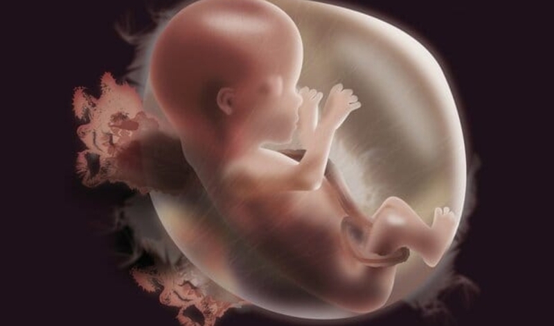 Giải đáp thắc mắc: Bà bầu ăn khoai từ được không 3