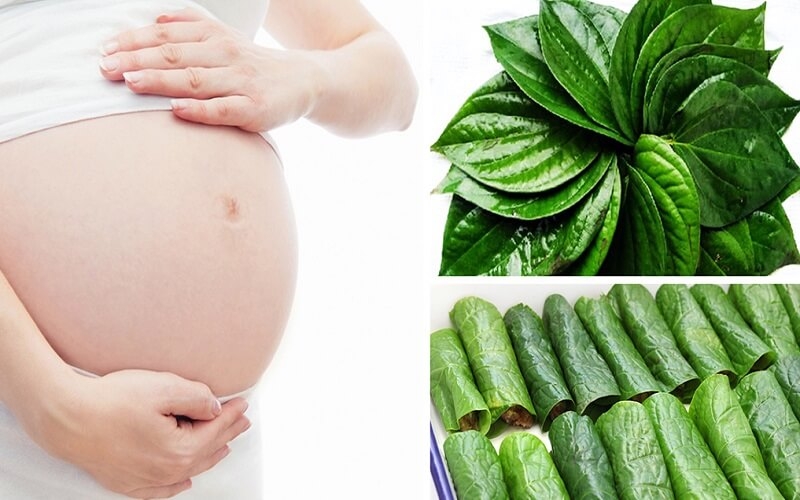 Bà bầu có ăn được lá lốt không là thắc mắc của rất nhiều mẹ bầu