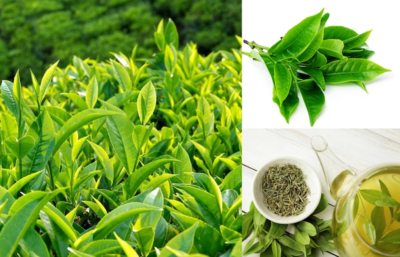 Giải đáp thắc mắc: Bị đau xương khớp ăn gì cho tốt?3