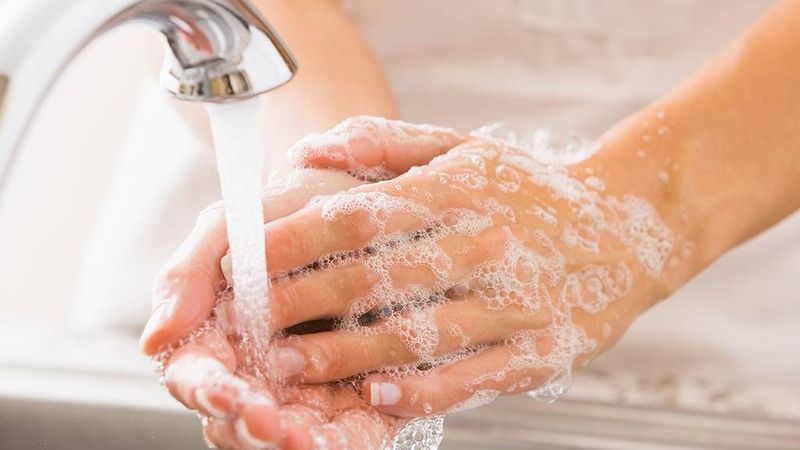 Giải đáp thắc mắc: Bị gián cắn có sao không? 3