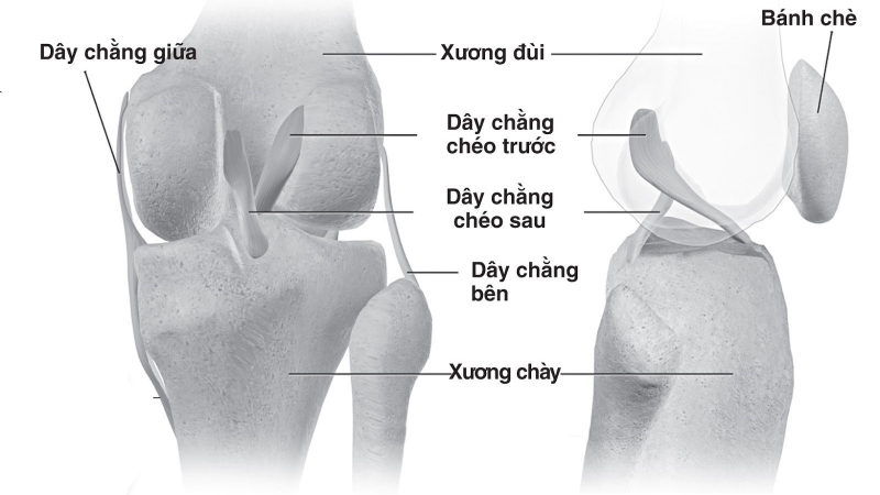 Giải đáp thắc mắc: Bị ngã đập đầu gối xuống đất có nguy hiểm không? 1