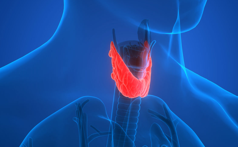 Giải đáp thắc mắc bướu cổ đơn thuần có nên mang thai? 1