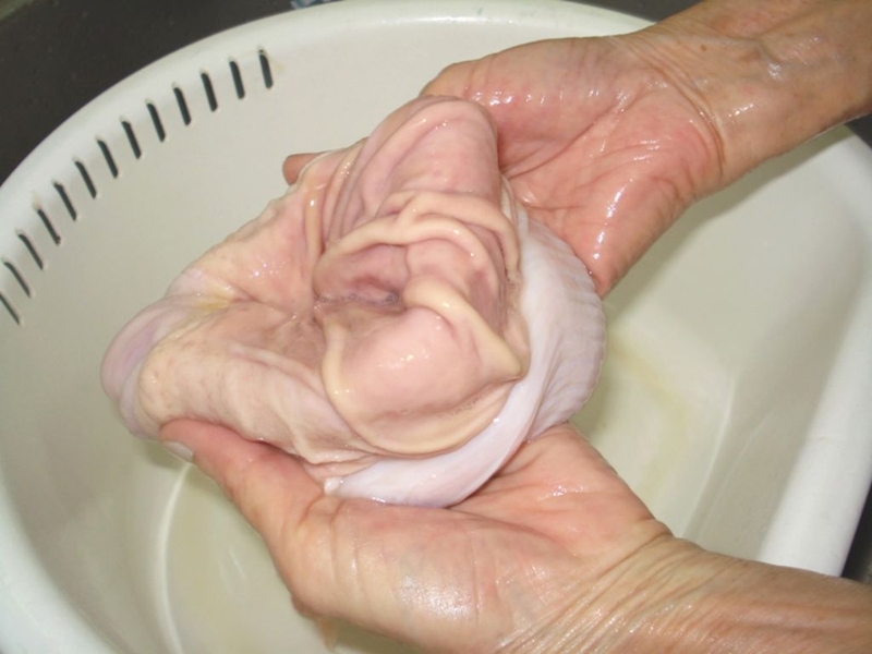 Giải đáp thắc mắc cho chị em: Sau sinh ăn dạ dày lợn được không? 2