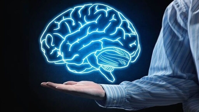 Con người có bao nhiêu tế bào não? 1