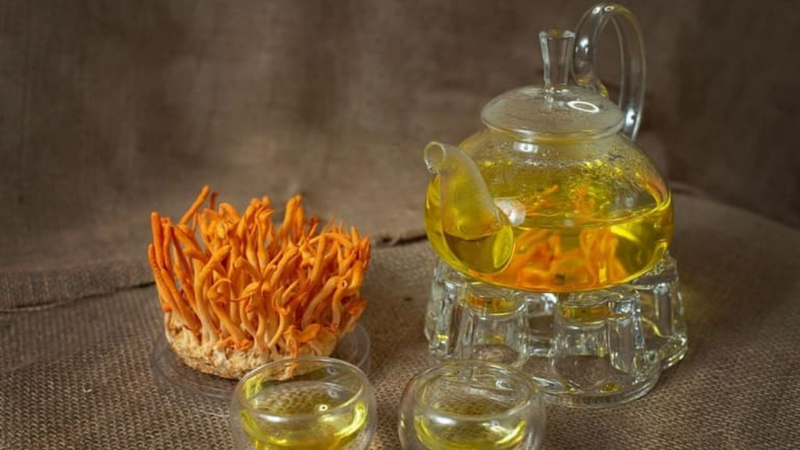 Đông trùng hạ thảo ăn chay được không? 3