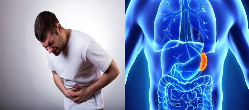 Lá lách nằm ở đâu 2