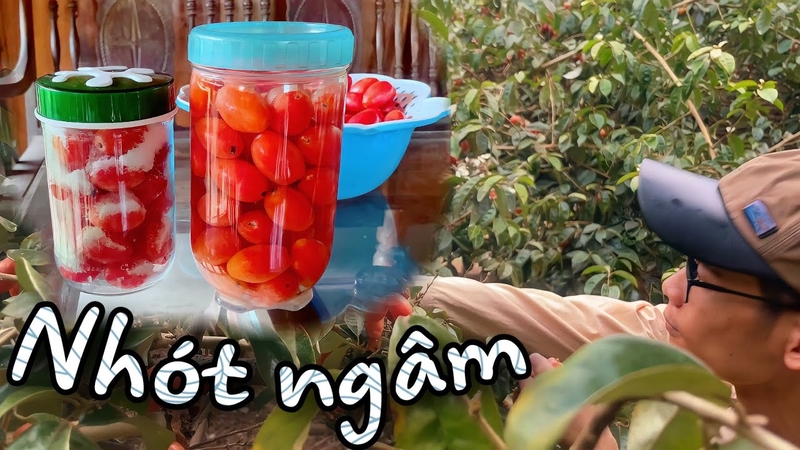 Giải Đáp Thắc Mắc: Quả Nhót Ngâm Rượu Được Không? 3