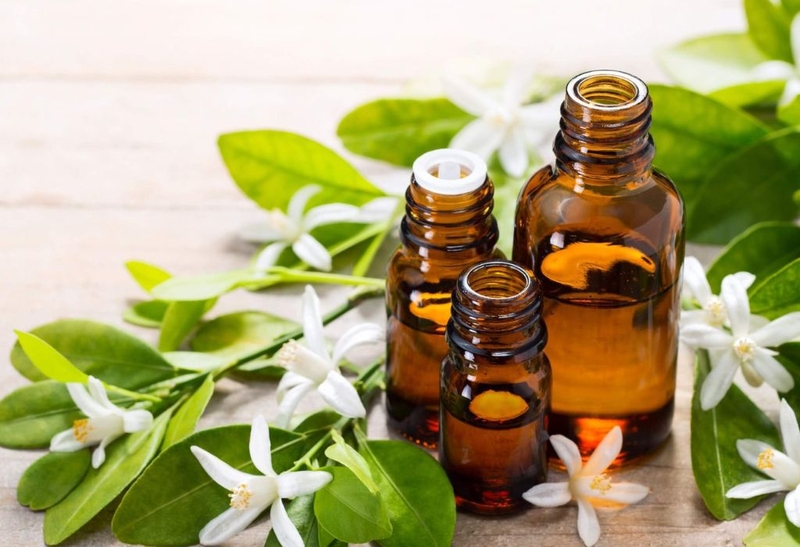 Giải đáp thắc mắc: Rệp giường cắn có nguy hiểm không? 4