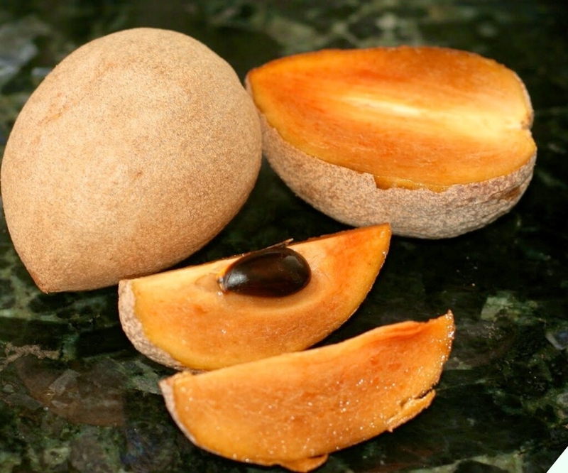 Giải đáp thắc mắc: Sản phụ sau sinh ăn hồng xiêm được không? 4