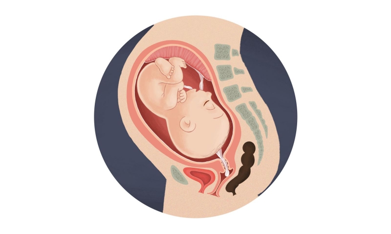 Giải đáp thắc mắc: Tại sao phải rạch tầng sinh môn?3