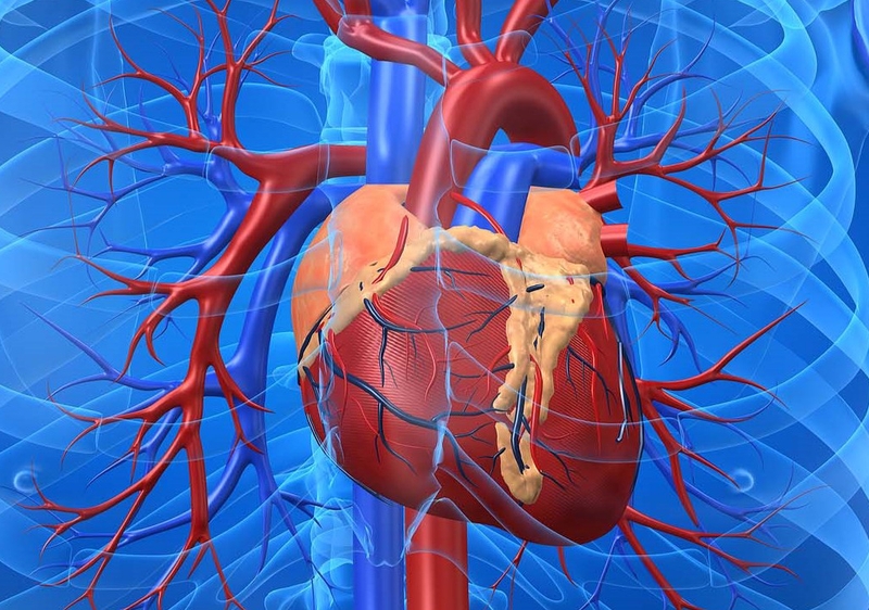 Giải đáp thắc mắc: Thông liên thất phần màng 6mm có nguy hiểm không? 2