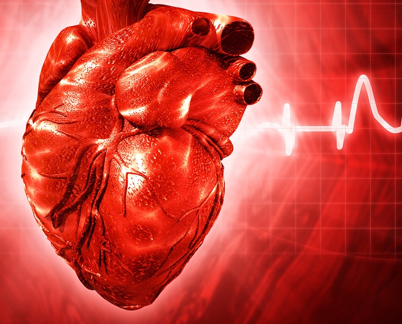 Giải đáp thắc mắc: Thông liên thất phần màng 6mm có nguy hiểm không? 3