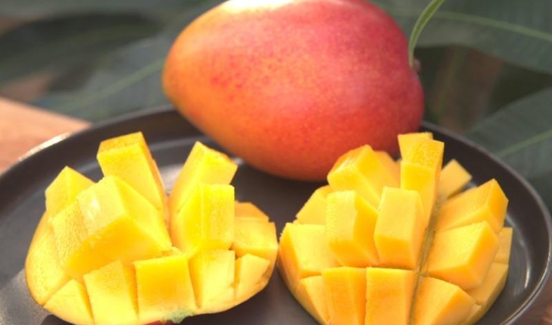 tiểu đường ăn xoài được không