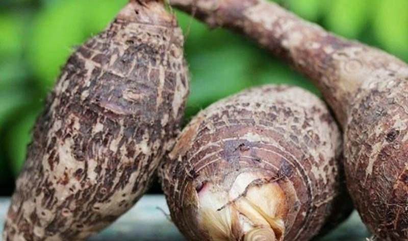 Giải đáp thắc mắc: Tiểu đường có ăn được khoai sọ không? 2