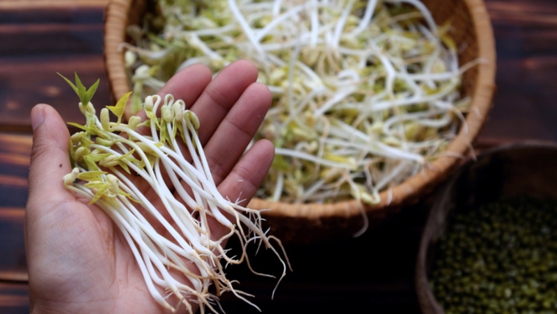 giai-dap-thac-mac-u-tuyen-giap-co-an-duoc-gia-do-khong 3.jpg