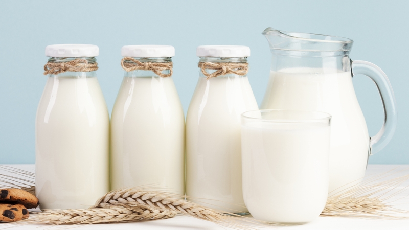 Không nên dùng rau muống cùng sữa và sản phẩm từ sữa