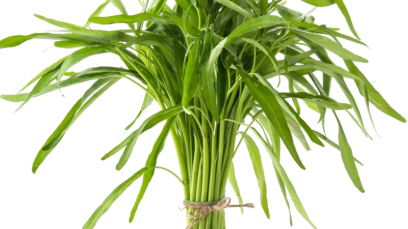 Rau muống chứa nhiều khoáng chất và vitamin