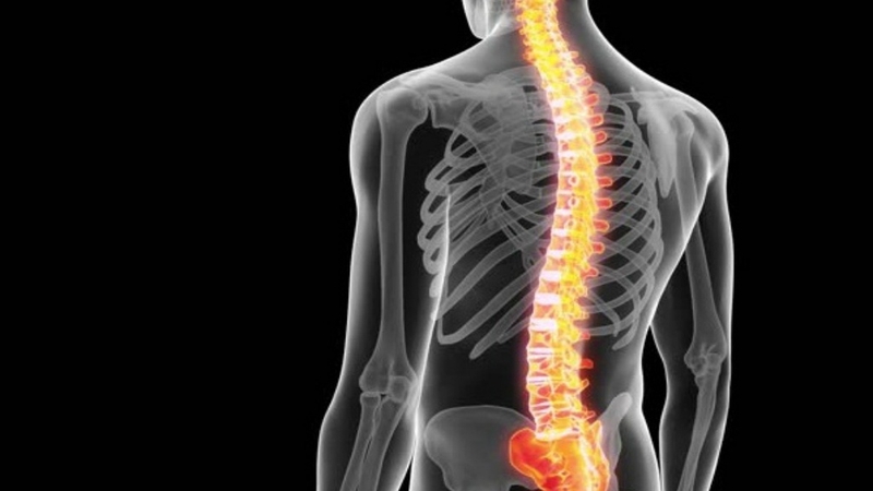 Giải đáp thắc mắc: Vitamin K2 MK4 với MK7 loại nào tốt hơn? 2