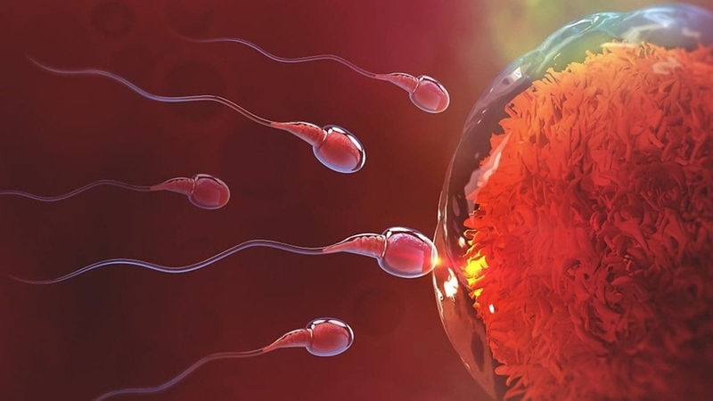 Giải đáp: Thử thai sau 3 ngày quan hệ có chính xác không? 2