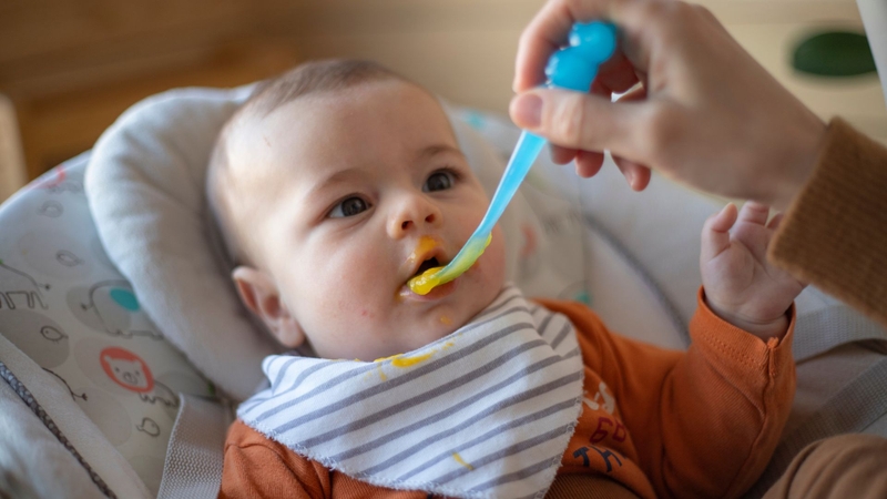 Ban đầu, cha mẹ có thể cho trẻ làm quen với thức ăn mềm, được nghiền hoặc xay nhuyễn