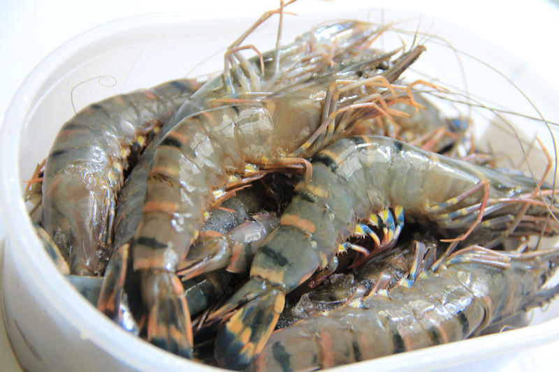 Giải đáp: Trẻ nhỏ bị ho kiêng ăn gì, ăn tôm có bị ho không? 3