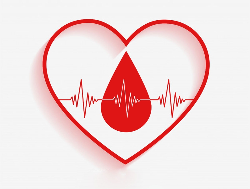 Giải đáp từ chuyên gia: Rong biển bị mốc có ăn được không? 02