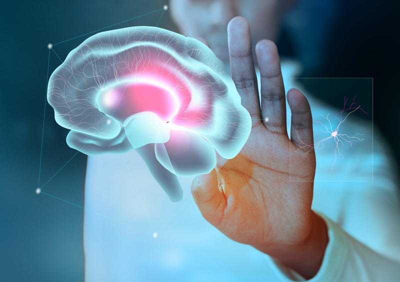 giai-dap-ung-thu-nao-co-di-can-khong 2.jpg