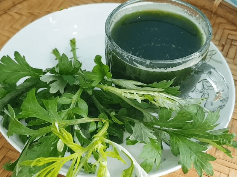 Giải đáp: Uống nước ngải cứu tươi có tác dụng gì?