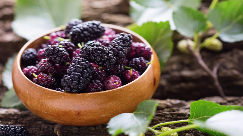 Giải độc gan sau Tết bằng các loại trái cây quen thuộc 1