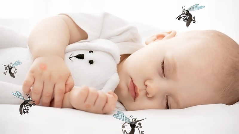 Giải pháp giúp bạn thoát khỏi loài mũi 3