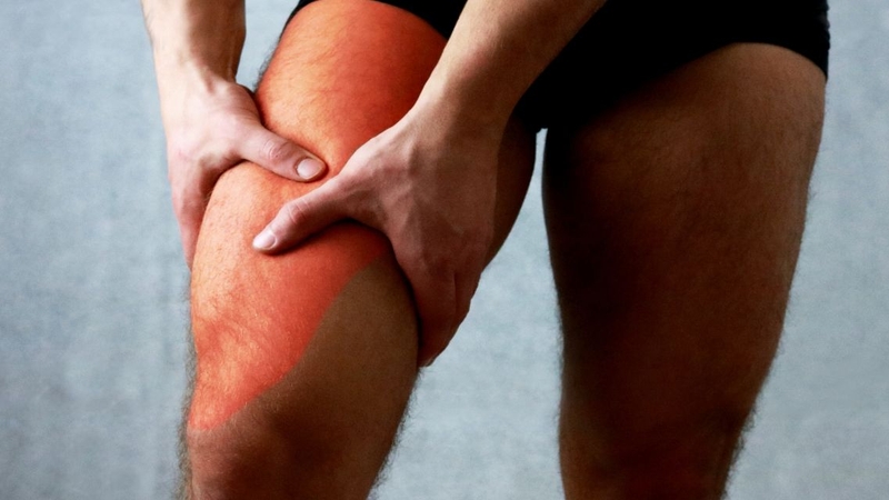 Giải phẫu cơ đùi: Cấu trúc, chức năng và vai trò trong vận động 2