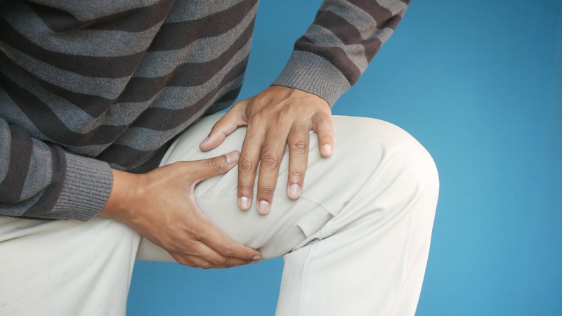 Giải phẫu cơ đùi: Cấu trúc, chức năng và vai trò trong vận động 3