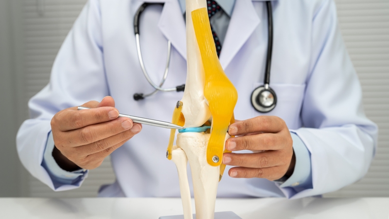 Khớp gối là khớp nối giữa xương đùi và cẳng chân, đồng thời là khớp lớn nhất trong cơ thể