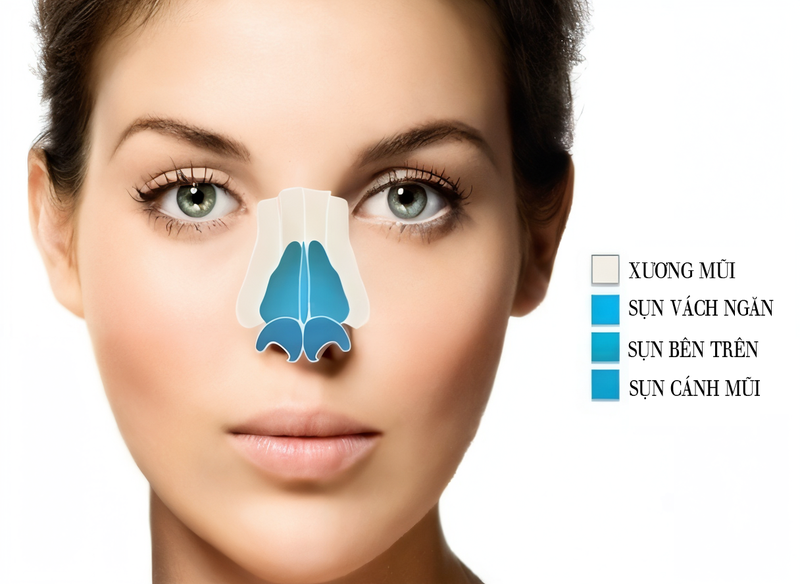 Giải phẫu mũi và các bệnh về mũi thường gặp 2