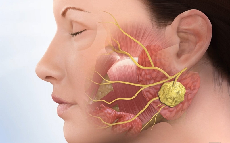 Giải phẫu tuyến dưới hàm và phẫu thuật cắt tuyến dưới hàm